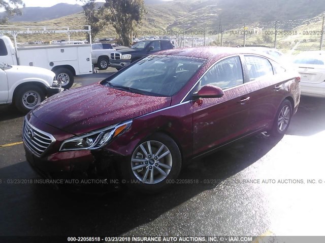 5NPE24AF3FH260074 - 2015 HYUNDAI SONATA SE RED photo 2