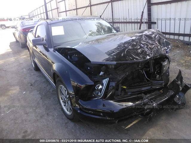 1ZVFT80N455224181 - 2005 FORD MUSTANG BLACK photo 1