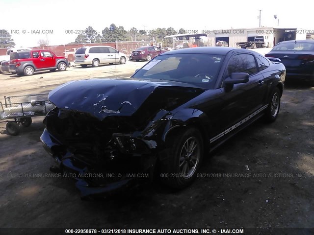 1ZVFT80N455224181 - 2005 FORD MUSTANG BLACK photo 2