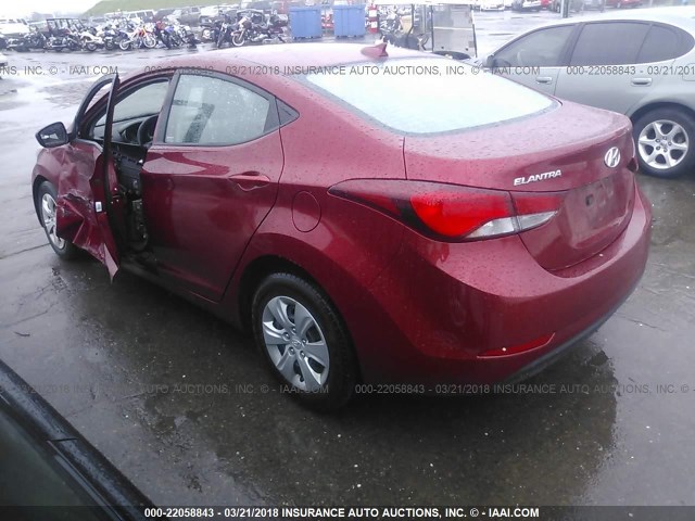 5NPDH4AE3GH750355 - 2016 HYUNDAI ELANTRA SE/SPORT/LIMITED RED photo 3