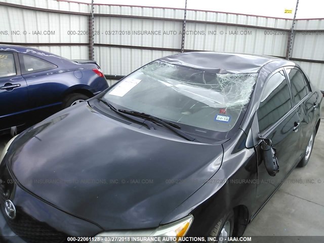 JTDBL40EX9J003658 - 2009 TOYOTA COROLLA LE/XLE BLACK photo 6