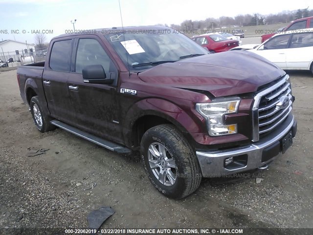 1FTEW1EP8FKF20685 - 2015 FORD F150 SUPERCREW MAROON photo 1