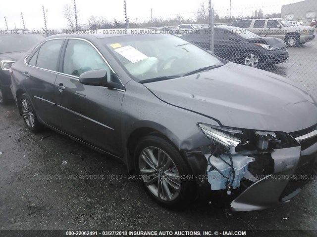 4T1BF1FK3HU750336 - 2017 TOYOTA CAMRY LE/XLE/SE/XSE GRAY photo 1