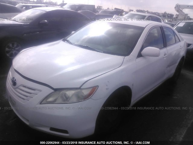 4T4BE46K69R112481 - 2009 TOYOTA CAMRY SE/LE/XLE WHITE photo 2