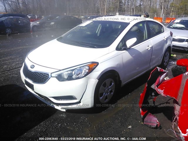 KNAFX4A63G5532403 - 2016 KIA FORTE LX WHITE photo 2