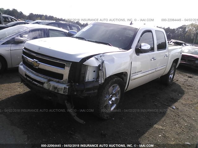 3GCPKTE38BG240974 - 2011 CHEVROLET SILVERADO K1500 LTZ WHITE photo 2