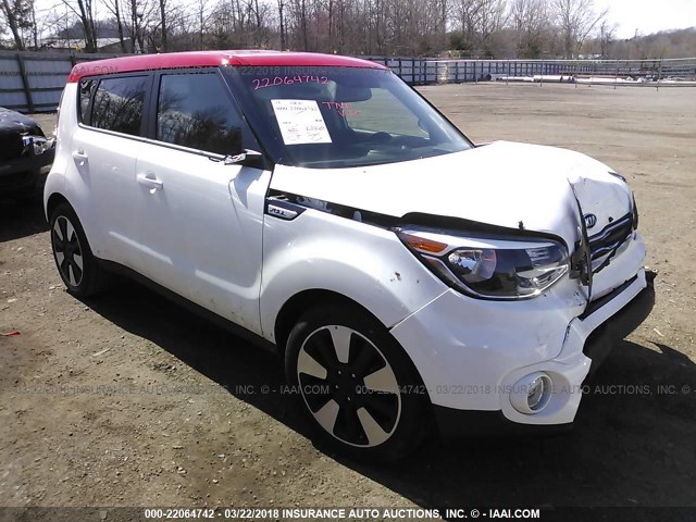 KNDJP3A56H7442599 - 2017 KIA SOUL + WHITE photo 1