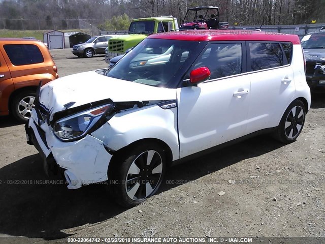 KNDJP3A56H7442599 - 2017 KIA SOUL + WHITE photo 2