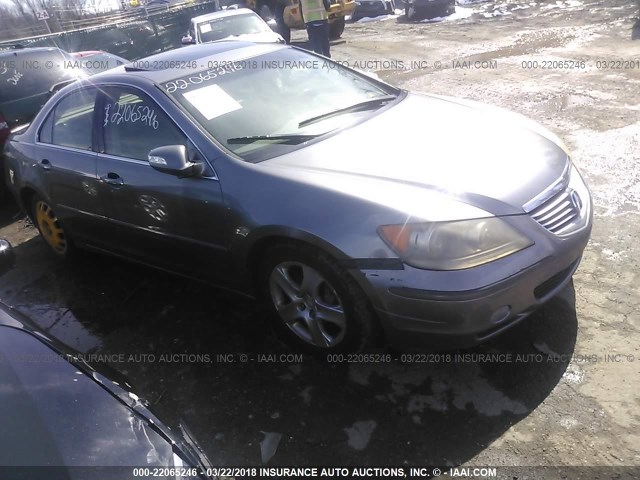 JH4KB16565C009236 - 2005 ACURA RL GRAY photo 1