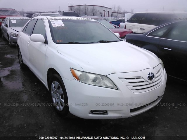 4T4BE46K09R051323 - 2009 TOYOTA CAMRY SE/LE/XLE Белый фото 1