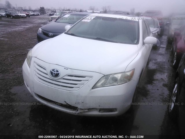 4T4BE46K09R051323 - 2009 TOYOTA CAMRY SE/LE/XLE Белый фото 2