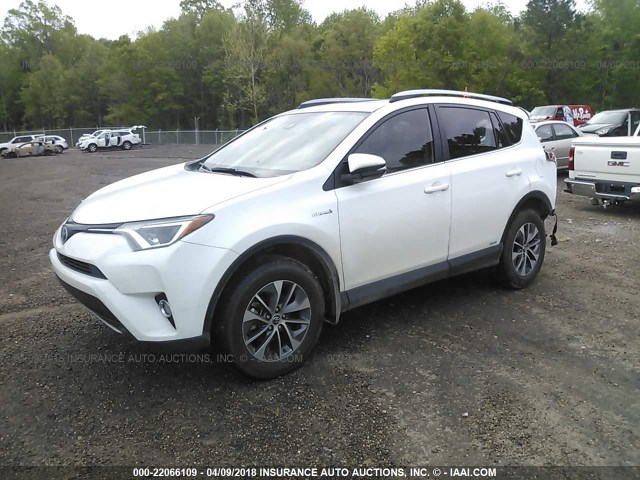 JTMRJREV6HD080955 - 2017 TOYOTA RAV4 HV LE/XLE WHITE photo 2