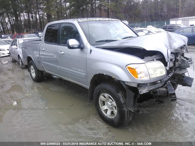 5TBET34115S463473 - 2005 TOYOTA TUNDRA DOUBLE CAB SR5 GRAY photo 1