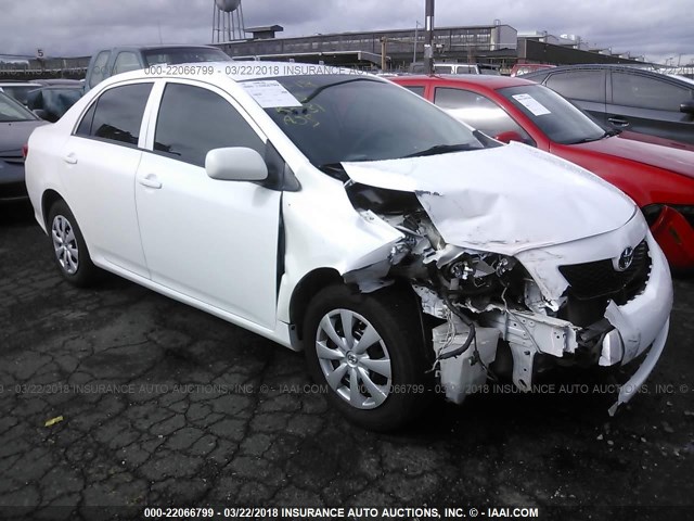 1NXBU4EE7AZ264542 - 2010 TOYOTA COROLLA S/LE/XLE WHITE photo 1