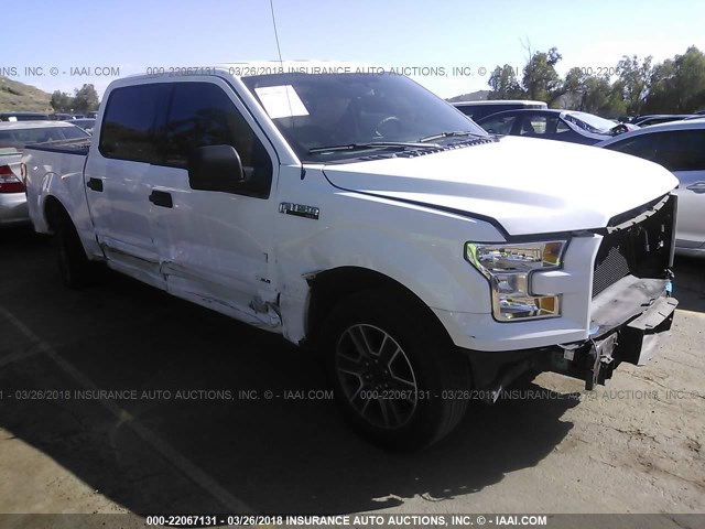 1FTEW1CG2FKD11588 - 2015 FORD F150 SUPERCREW WHITE photo 1