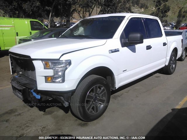 1FTEW1CG2FKD11588 - 2015 FORD F150 SUPERCREW WHITE photo 2