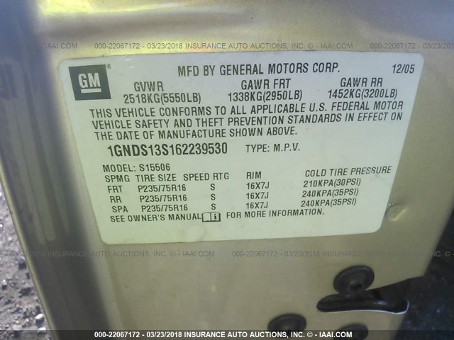 1GNDS13S162239530 - 2006 CHEVROLET TRAILBLAZER LS/LT GOLD photo 9