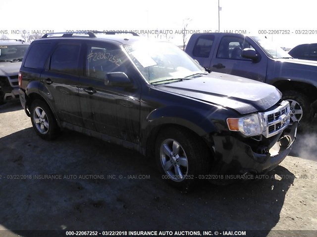 1FMCU0EG0BKB30144 - 2011 FORD ESCAPE LIMITED BLACK photo 1