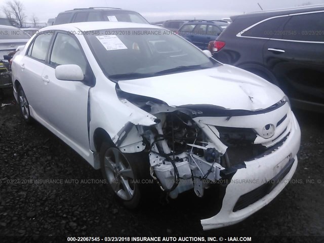 2T1BU4EEXBC600042 - 2011 TOYOTA COROLLA S/LE WHITE photo 1