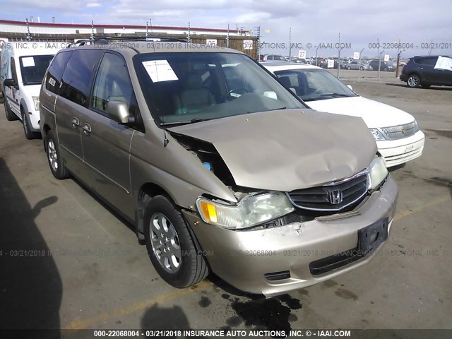 2HKRL18052H546646 - 2002 HONDA ODYSSEY EXL TAN photo 1