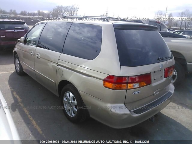 2HKRL18052H546646 - 2002 HONDA ODYSSEY EXL TAN photo 3