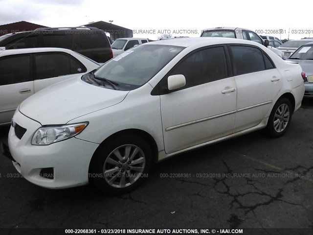 1NXBU4EE4AZ213516 - 2010 TOYOTA COROLLA S/LE/XLE WHITE photo 2