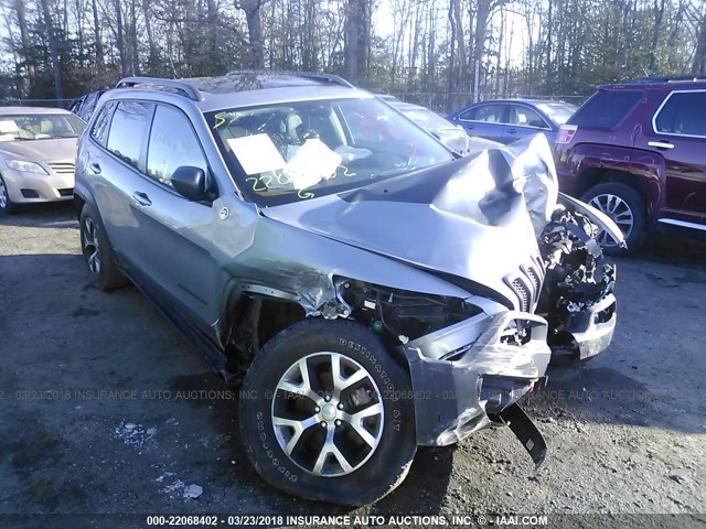 1C4PJMBS2EW281529 - 2014 JEEP CHEROKEE TRAILHAWK 灰色 照片 1