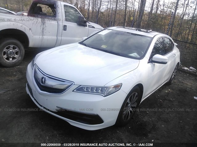 19UUB1F54FA019241 - 2015 ACURA TLX TECH WHITE photo 2