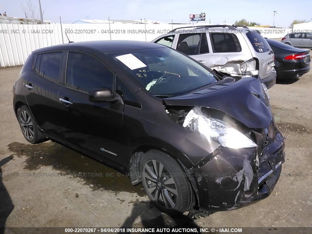 1N4BZ0CP0GC303446 - 2016 NISSAN LEAF SV/SL Pewter photo 1