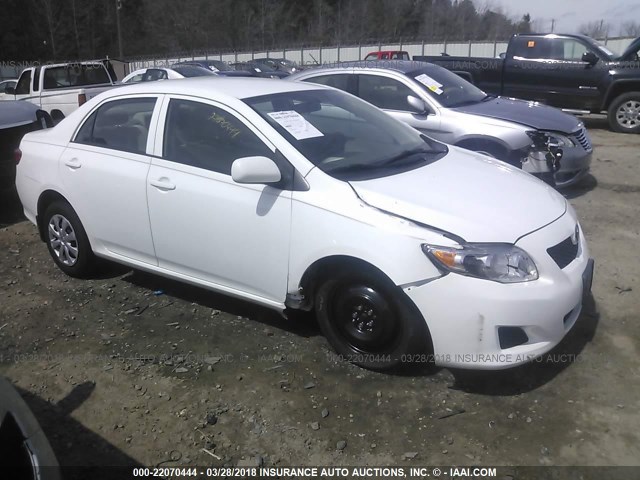 1NXBU4EE5AZ234309 - 2010 TOYOTA COROLLA S/LE/XLE WHITE photo 1