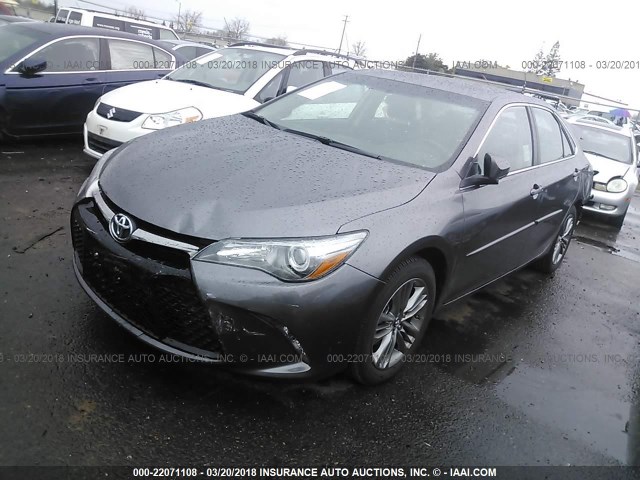 4T1BF1FK2HU681056 - 2017 TOYOTA CAMRY LE/XLE/SE/XSE GRAY photo 2