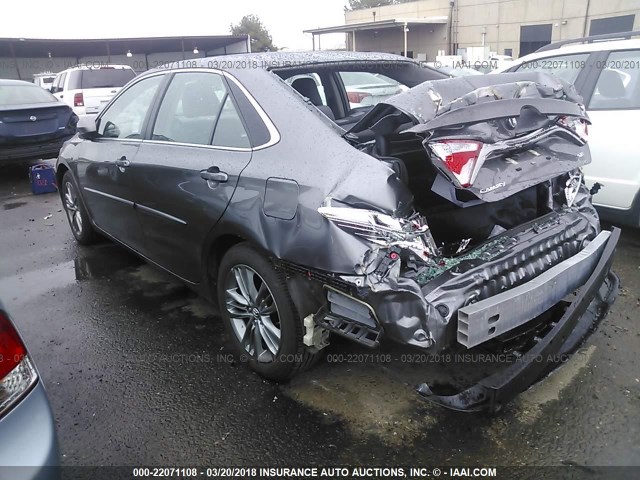 4T1BF1FK2HU681056 - 2017 TOYOTA CAMRY LE/XLE/SE/XSE GRAY photo 3