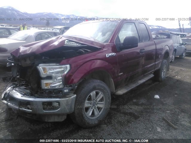 1FTEX1EP9FFC24189 - 2015 FORD F150 SUPER CAB RED photo 2