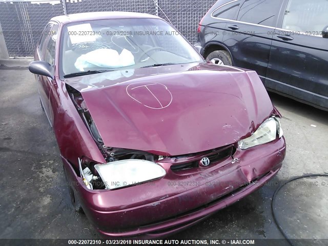 1NXBR12E5XZ295284 - 1999 TOYOTA COROLLA VE/CE/LE 栗色 照片 6