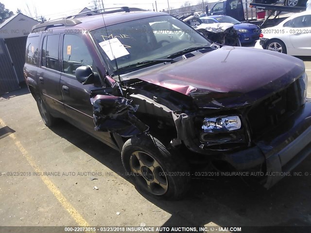 1GNET16S666123097 - 2006 CHEVROLET TRAILBLAZER EXT LS/EXT LT PURPLE photo 1