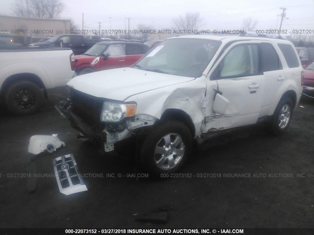 1FMCU0EG4CKA59080 - 2012 FORD ESCAPE LIMITED WHITE photo 2