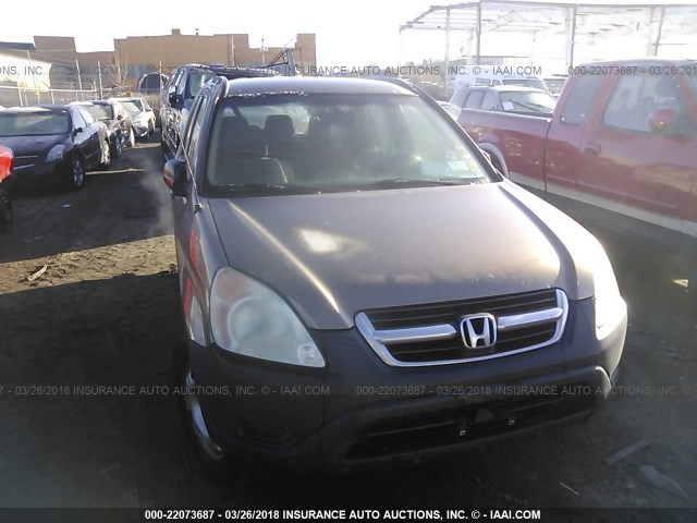 SHSRD78474U229741 - 2004 HONDA CR-V LX CREAM photo 6