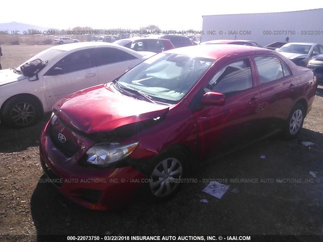 2T1BU4EE2AC380135 - 2010 TOYOTA COROLLA S/LE/XLE RED photo 2