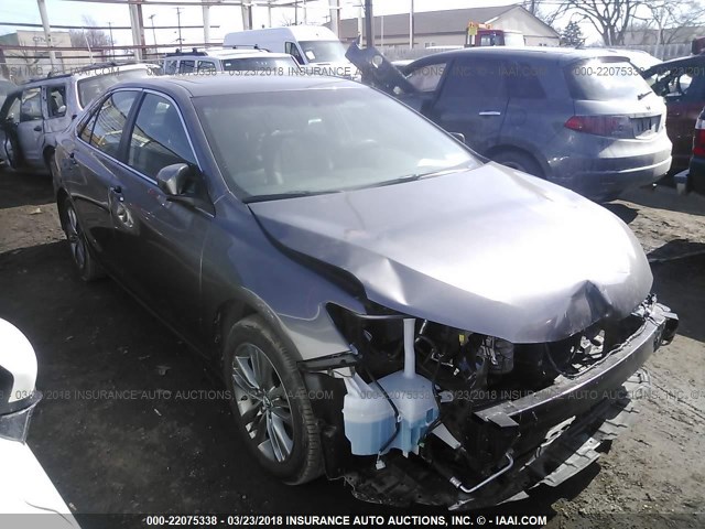 4T1BF1FK3HU292555 - 2017 TOYOTA CAMRY LE/XLE/SE/XSE GRAY photo 1