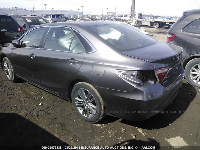 4T1BF1FK3HU292555 - 2017 TOYOTA CAMRY LE/XLE/SE/XSE GRAY photo 3