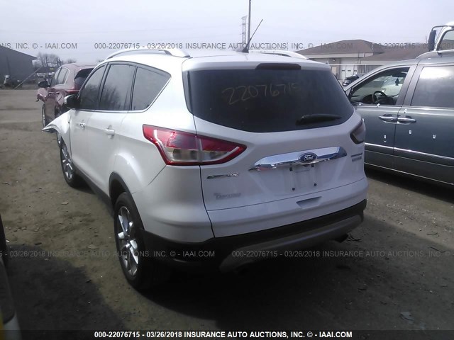 1FMCU0JX2EUC83574 - 2014 FORD ESCAPE TITANIUM WHITE photo 3