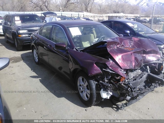 JHMCP26448C067868 - 2008 HONDA ACCORD LXP MAROON photo 1