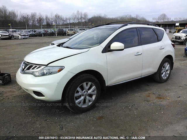 JN8AZ1MU3BW050974 - 2011 NISSAN MURANO S/SL/LE WHITE photo 2