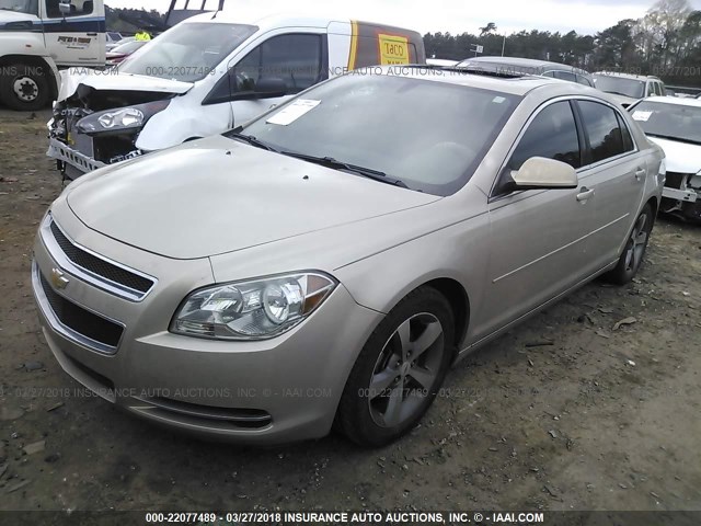 1G1ZC5EU6BF291930 - 2011 CHEVROLET MALIBU 1LT GOLD photo 2