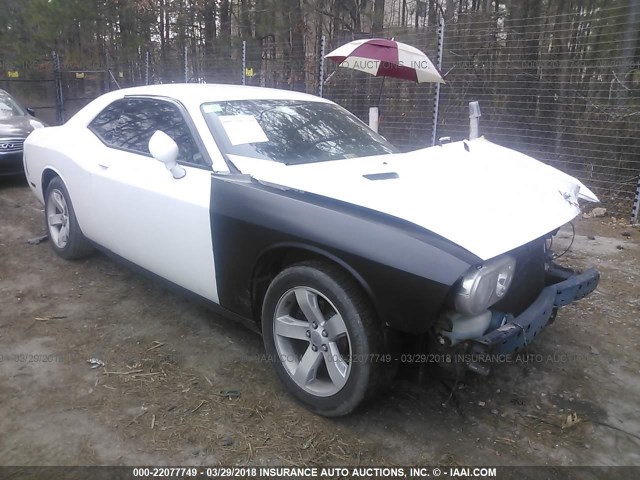 2C3CDYAG5DH736949 - 2013 DODGE CHALLENGER SXT WHITE photo 1