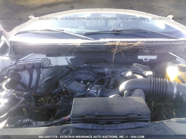 1FTMF1CM9DKE18880 - 2013 FORD F150 WHITE photo 10