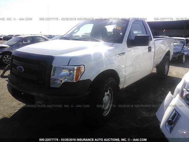 1FTMF1CM9DKE18880 - 2013 FORD F150 WHITE photo 2