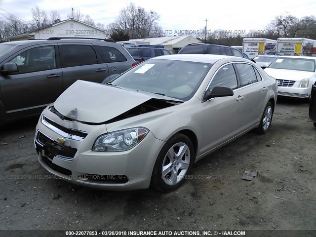 1G1ZB5E0XCF272802 - 2012 CHEVROLET MALIBU LS 香槟色 照片 2
