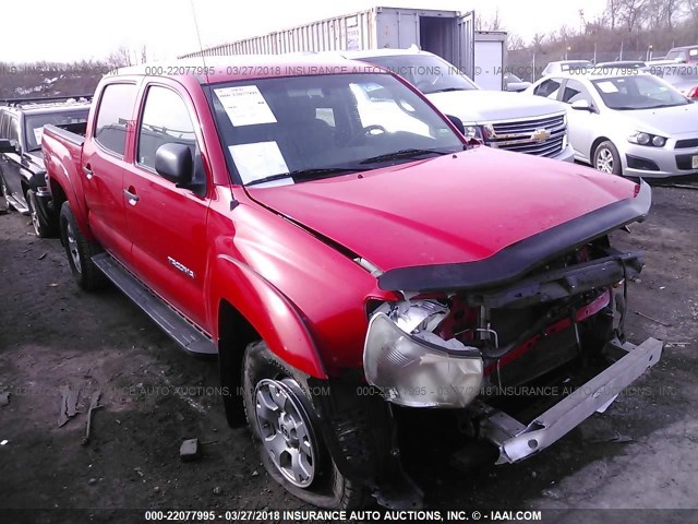 5TELU42N88Z552116 - 2008 TOYOTA TACOMA DOUBLE CAB წითელი ფოტო 1