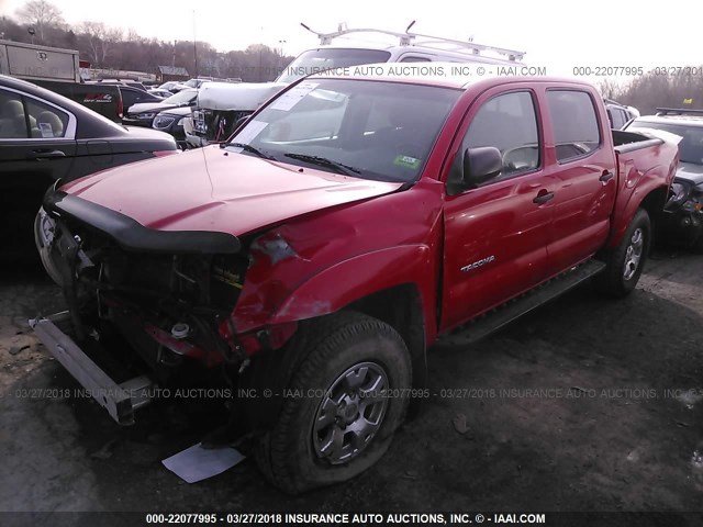 5TELU42N88Z552116 - 2008 TOYOTA TACOMA DOUBLE CAB წითელი ფოტო 2